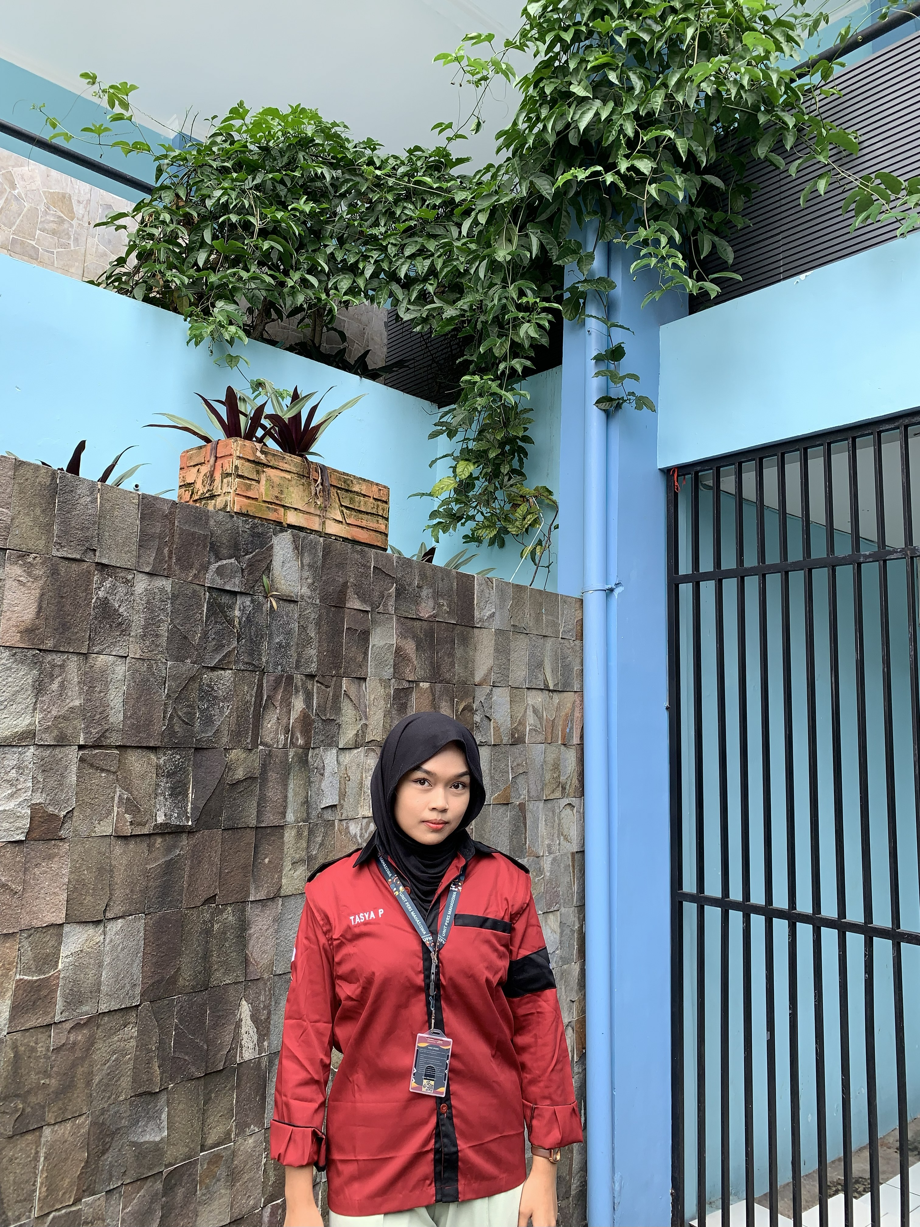 MUHAMMAD MIRZA RIDHODHINILLAH